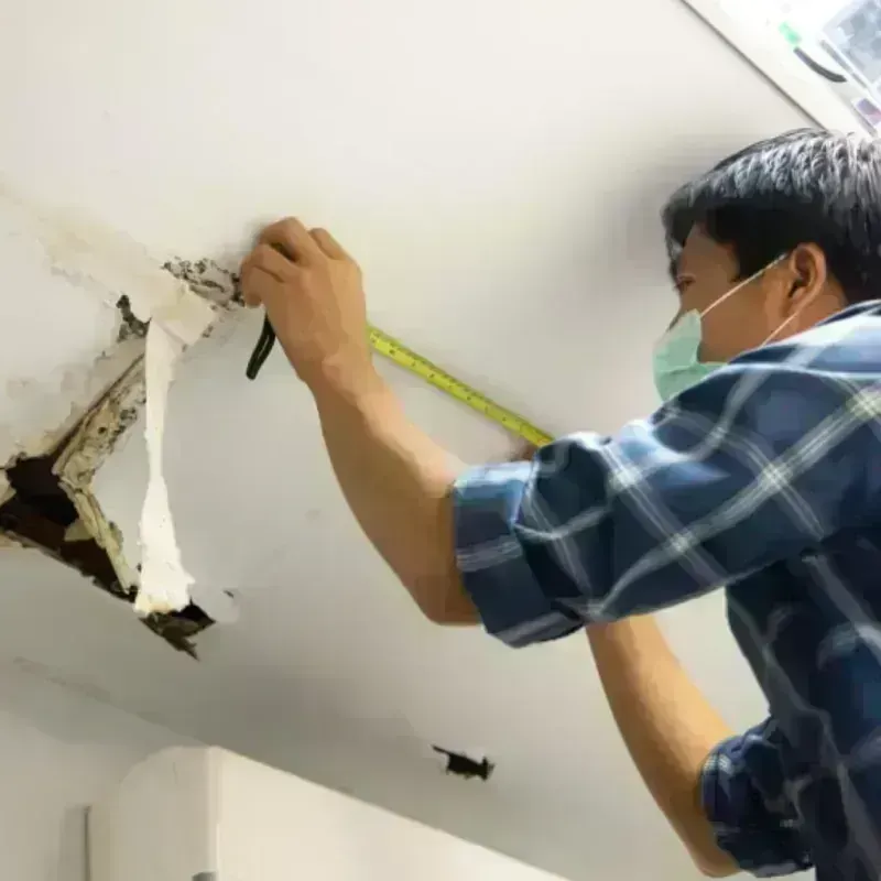 Ceiling And Wall Water Damage in Fort Hancock, TX